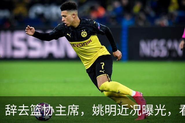 辞去篮协主席，姚明近况曝光，看到他的选择，才知道易建联没说错